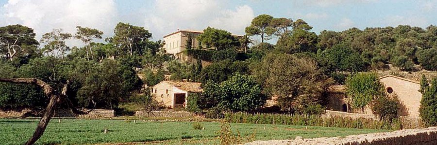 Hotel Llenaire, Puerto Pollensa, Majorca